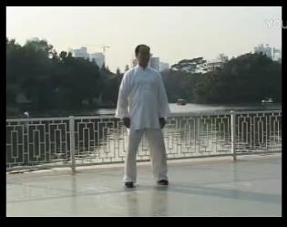 杨合发　二路（炮捶）陈式太极拳